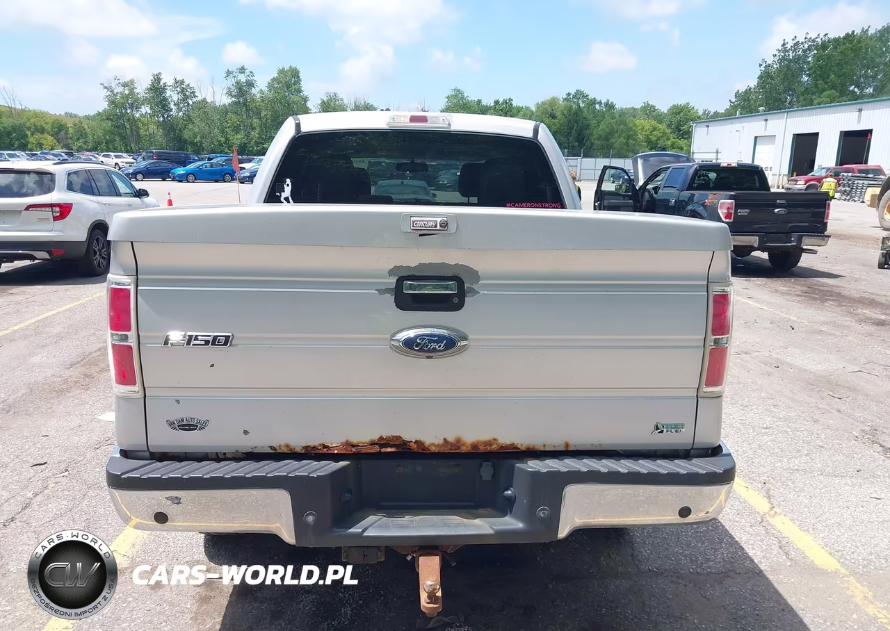 2010 Ford F-150 Fx4-Harley-Davidson-King Ranch-Lariat-Platinum-Xl-Xlt VIN:1FTFW1EV1AKC53515 - 16