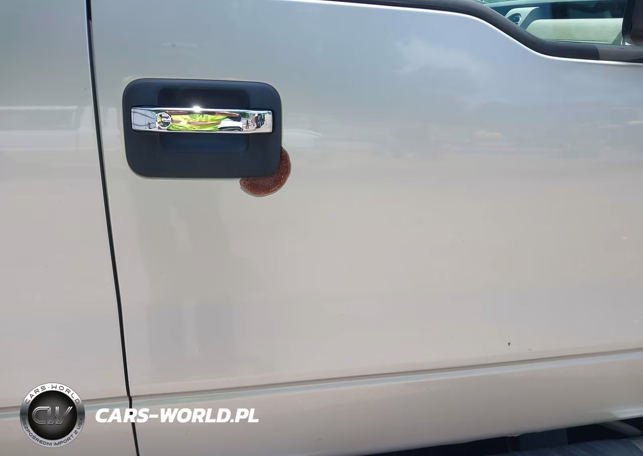 2010 Ford F-150 Fx4-Harley-Davidson-King Ranch-Lariat-Platinum-Xl-Xlt VIN:1FTFW1EV1AKC53515 - 17