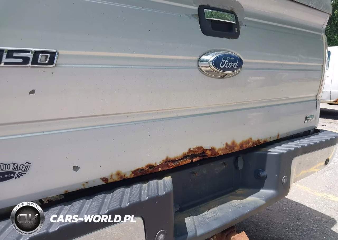 2010 Ford F-150 Fx4-Harley-Davidson-King Ranch-Lariat-Platinum-Xl-Xlt VIN:1FTFW1EV1AKC53515 - 18