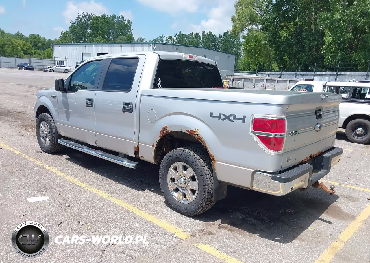 2010 Ford F-150 Fx4-Harley-Davidson-King Ranch-Lariat-Platinum-Xl-Xlt VIN:1FTFW1EV1AKC53515 - 3