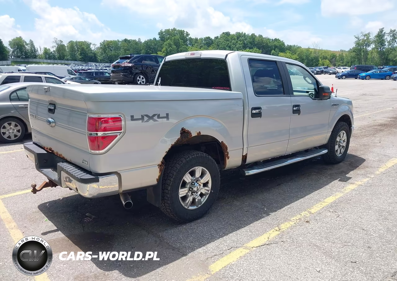 2010 Ford F-150 Fx4-Harley-Davidson-King Ranch-Lariat-Platinum-Xl-Xlt VIN:1FTFW1EV1AKC53515 - 4