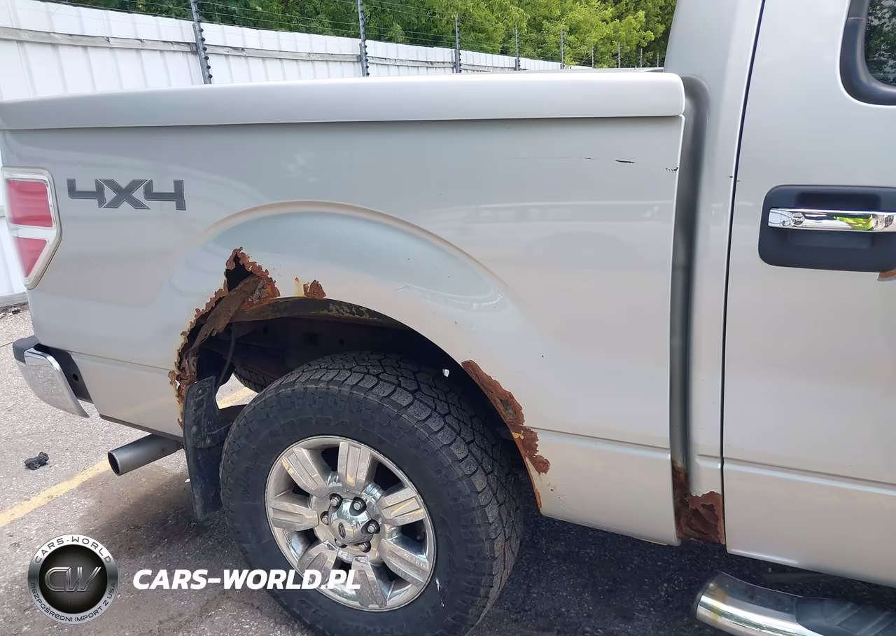 2010 Ford F-150 Fx4-Harley-Davidson-King Ranch-Lariat-Platinum-Xl-Xlt VIN:1FTFW1EV1AKC53515 - 6