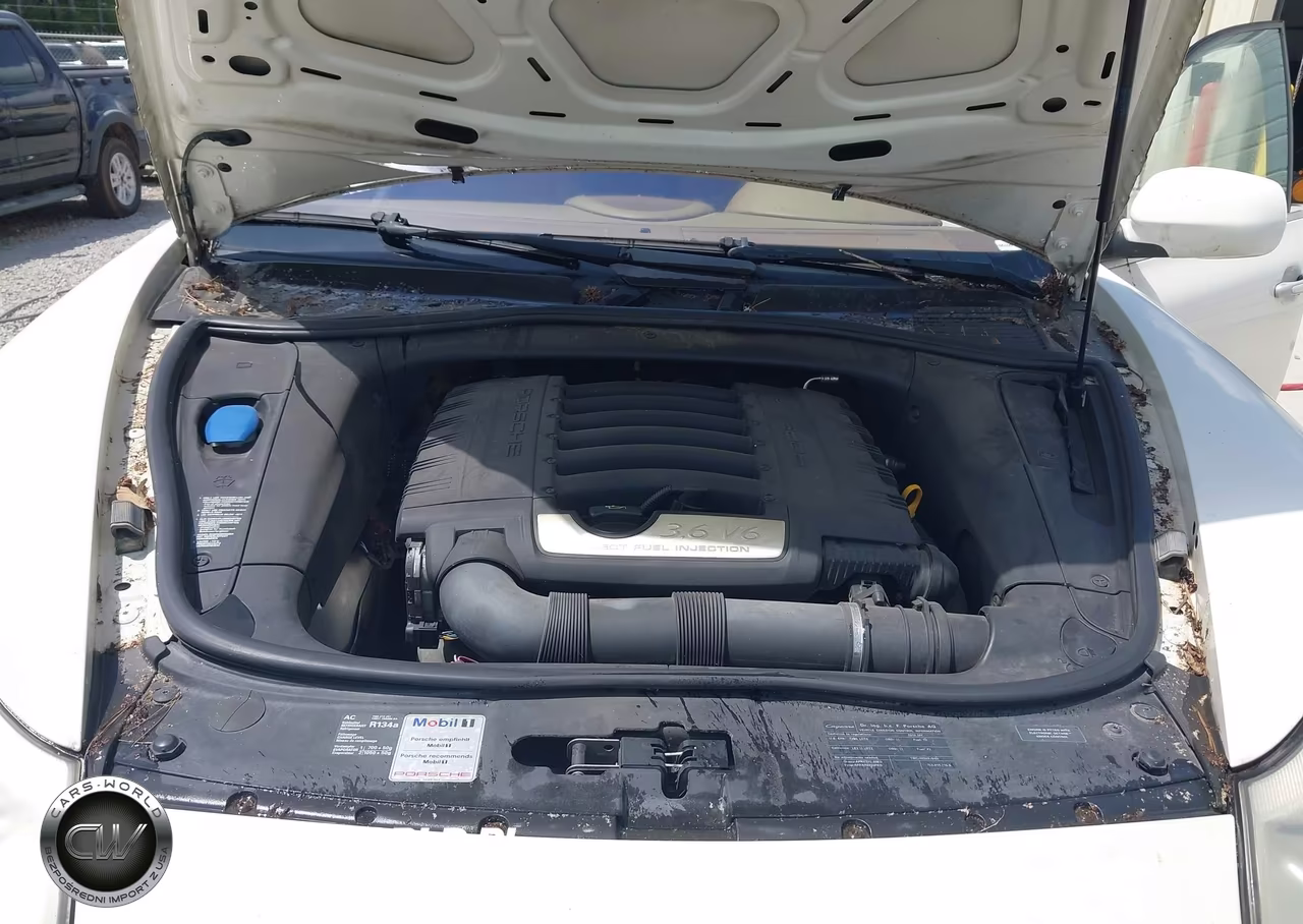 2010 Porsche Cayenne VIN:WP1AA2APXALA01227 - 10