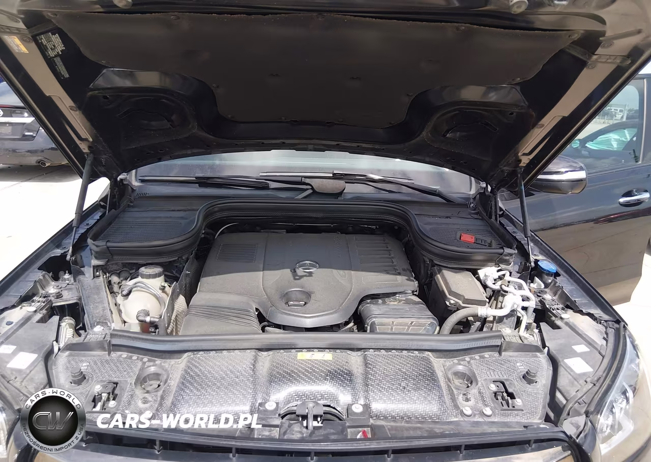 2024 Mercedes-Benz Gls 450 4Matic VIN:4JGFF5KE9RB171339 - 10