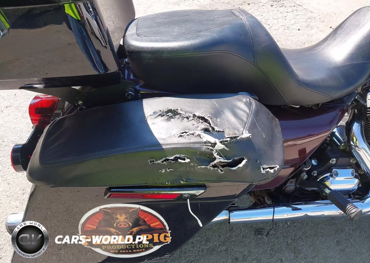 2016 Harley-Davidson Flhr Road King VIN:1HD1FBM14GB620011 - 17