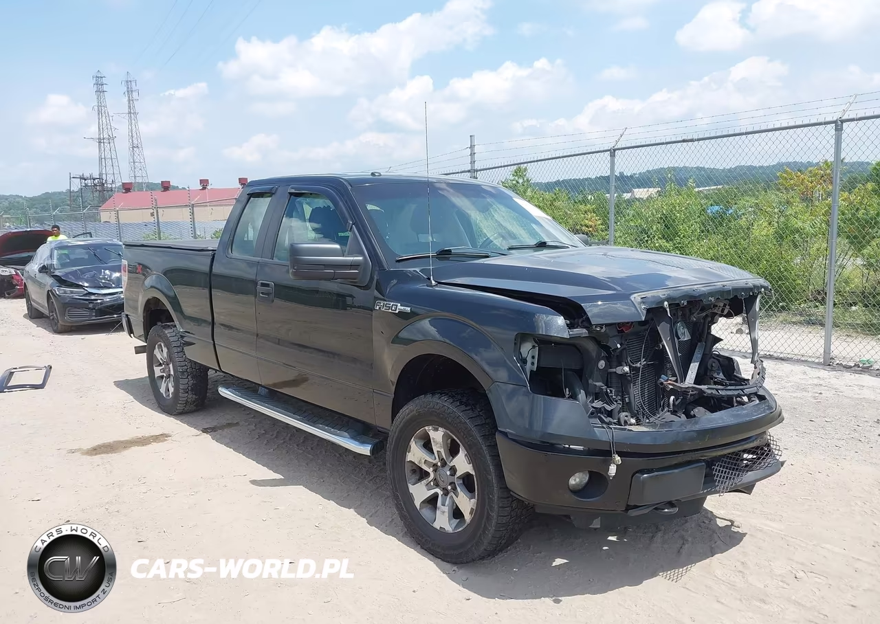 2013 Ford F-150 Fx4-Lariat-Stx-Xl-Xlt – zdjęcie 1 z 17