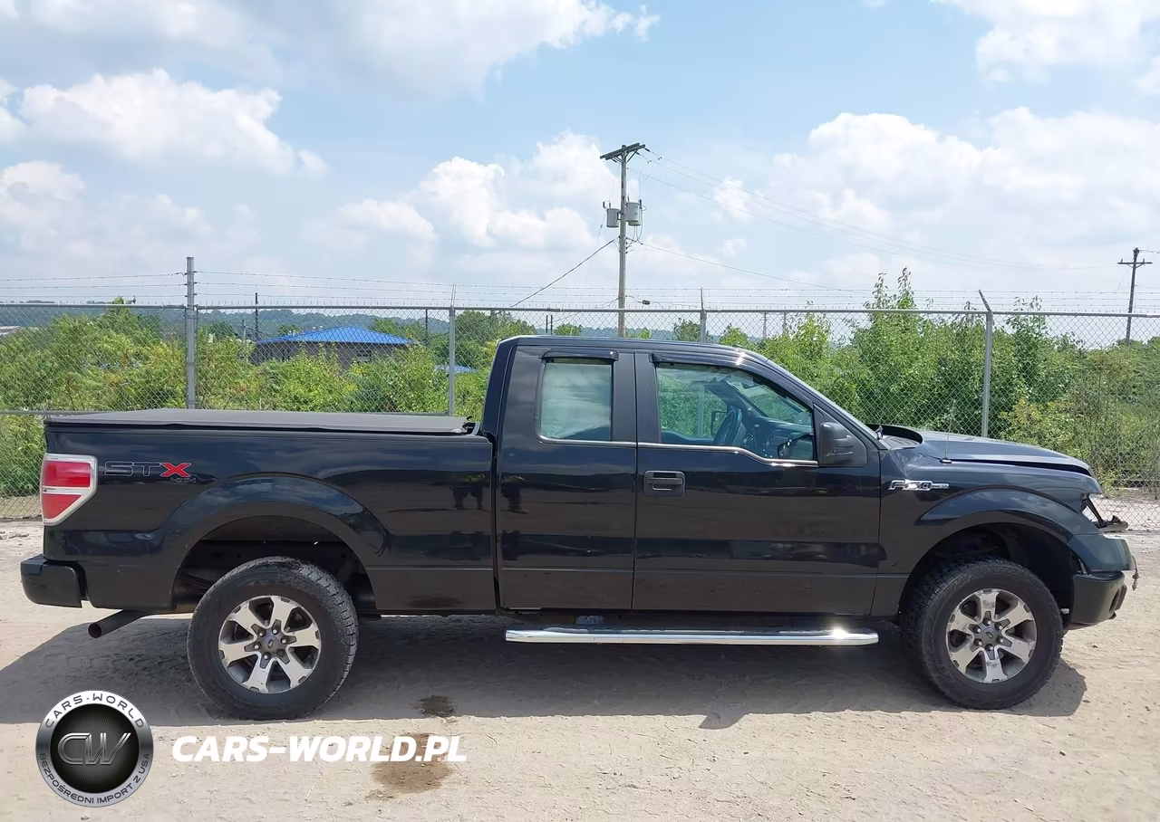 2013 Ford F-150 Fx4-Lariat-Stx-Xl-Xlt VIN:1FTFX1EF0DFB96887 - 14