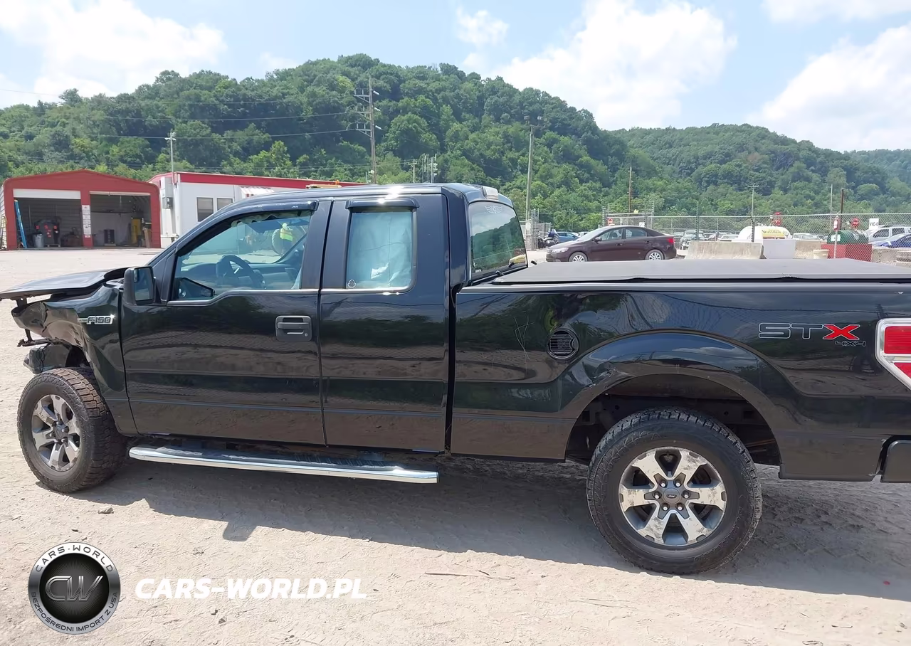 2013 Ford F-150 Fx4-Lariat-Stx-Xl-Xlt VIN:1FTFX1EF0DFB96887 - 15