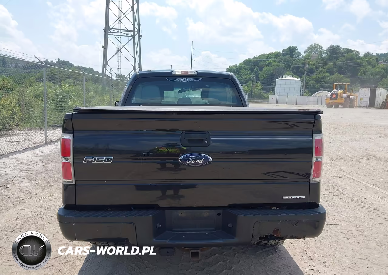 2013 Ford F-150 Fx4-Lariat-Stx-Xl-Xlt VIN:1FTFX1EF0DFB96887 - 17