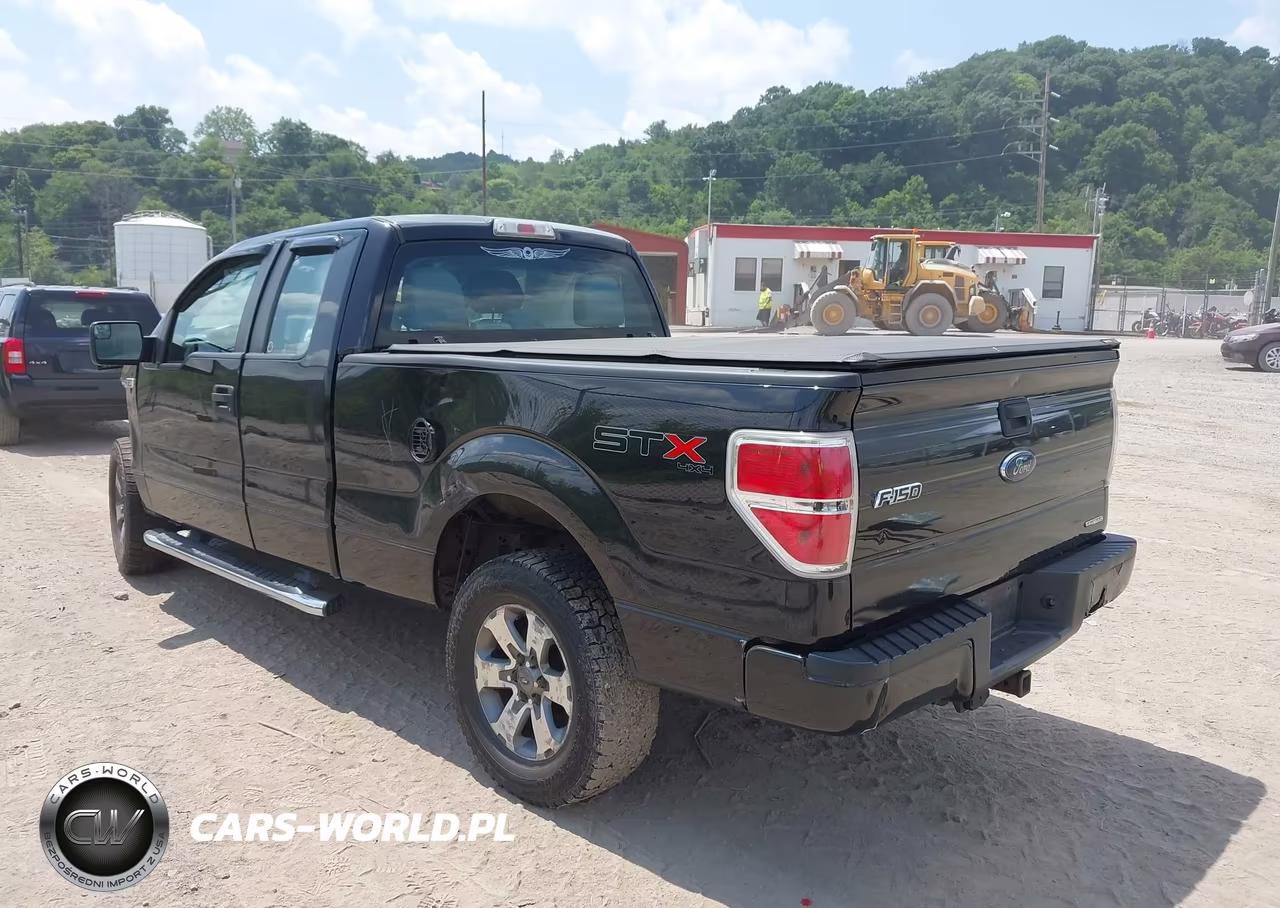 2013 Ford F-150 Fx4-Lariat-Stx-Xl-Xlt VIN:1FTFX1EF0DFB96887 - 3