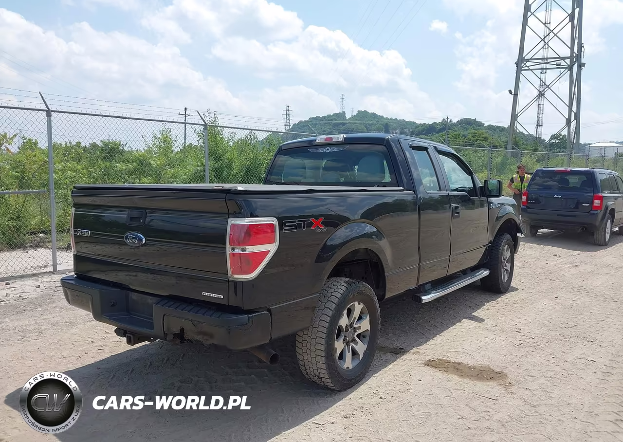2013 Ford F-150 Fx4-Lariat-Stx-Xl-Xlt VIN:1FTFX1EF0DFB96887 - 4