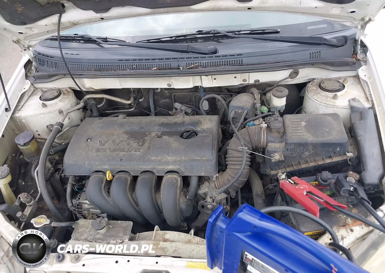 2004 Toyota Corolla Le VIN:JTDBR32E342019967 - 10