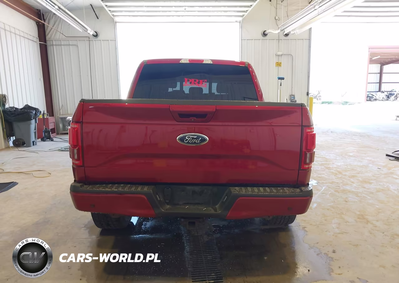 2017 Ford F-150 King Ranch-Lariat-Limited-Platinum-Xl-Xlt VIN:1FTEW1EG1HFB66679 - 17