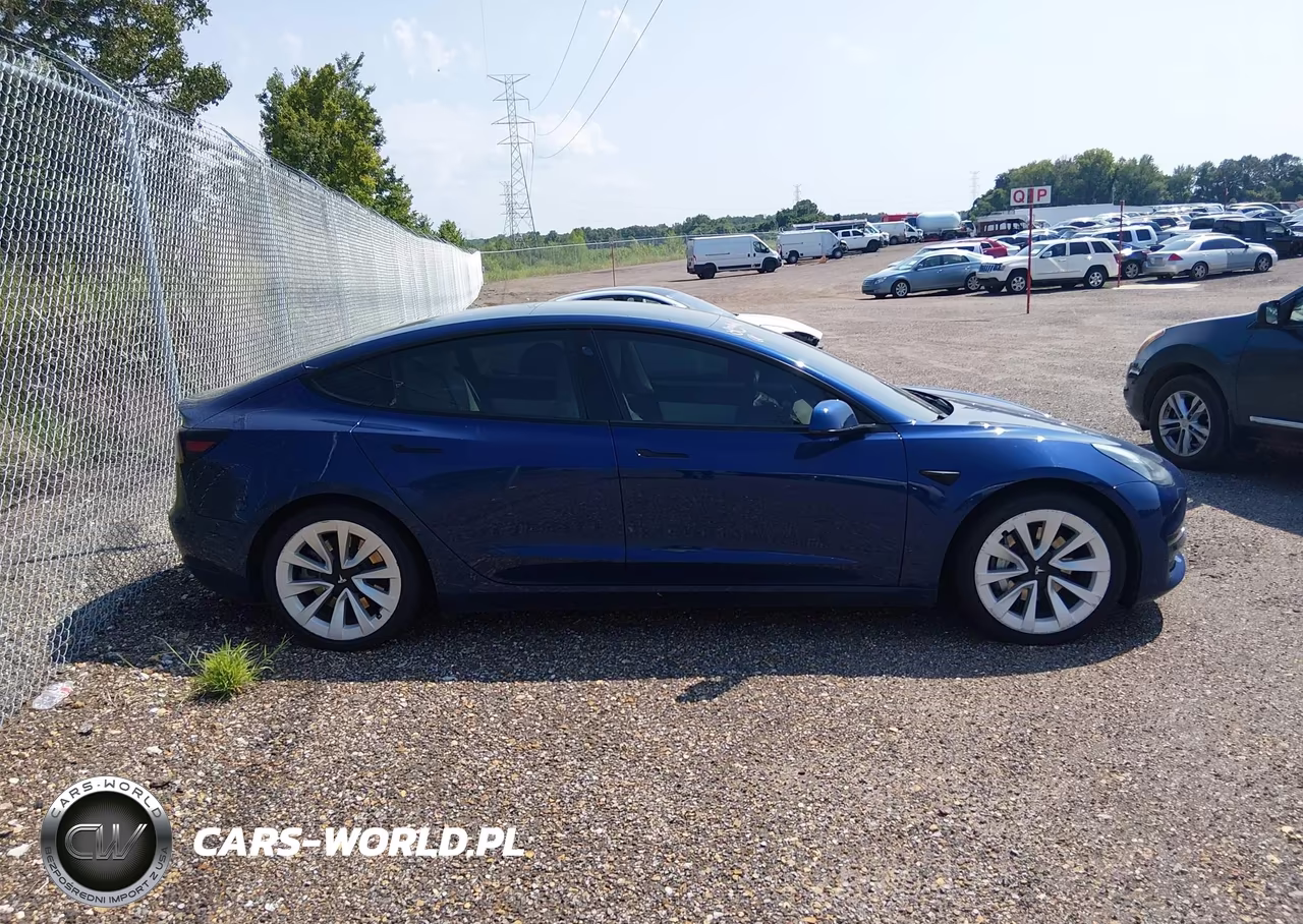 2021 Tesla Model 3 Long Range Dual Motor All-Wheel Drive VIN:5YJ3E1EB8MF862842 - 13