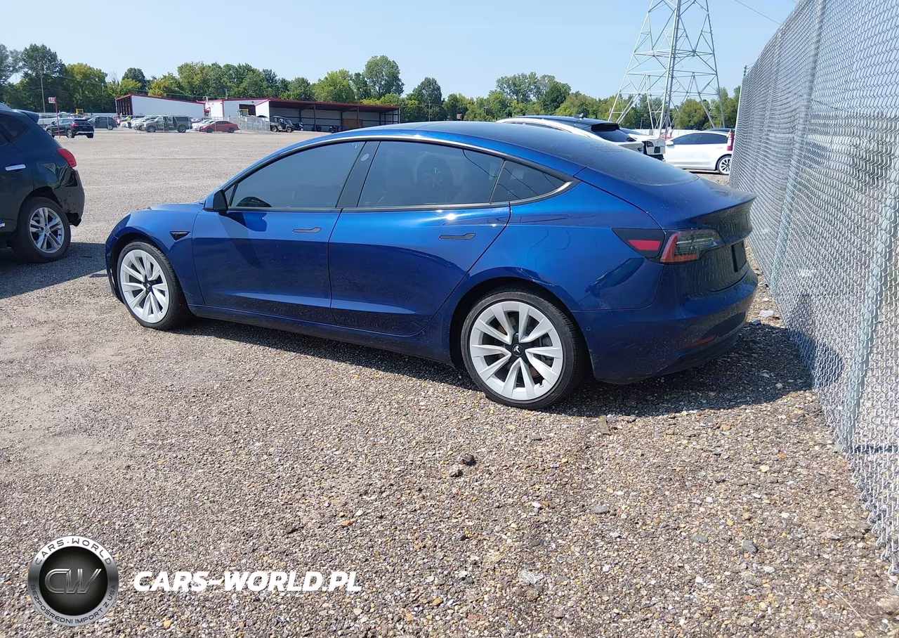 2021 Tesla Model 3 Long Range Dual Motor All-Wheel Drive VIN:5YJ3E1EB8MF862842 - 3