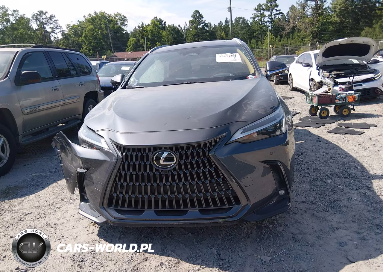 2025 Lexus Nx 350H Premium VIN:2T2GKCEZXSC034114 - 11
