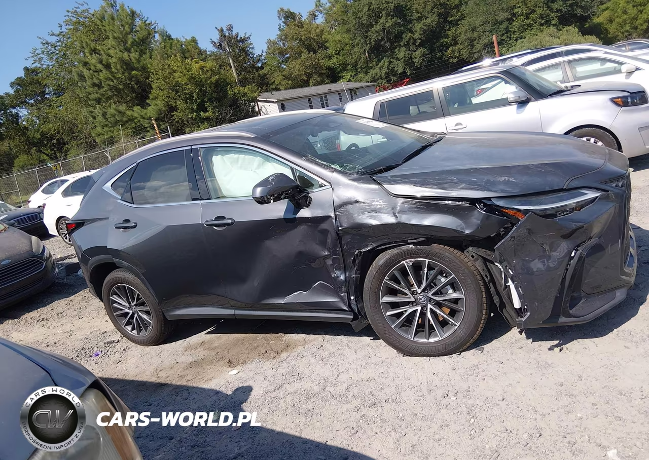 2025 Lexus Nx 350H Premium VIN:2T2GKCEZXSC034114 - 12