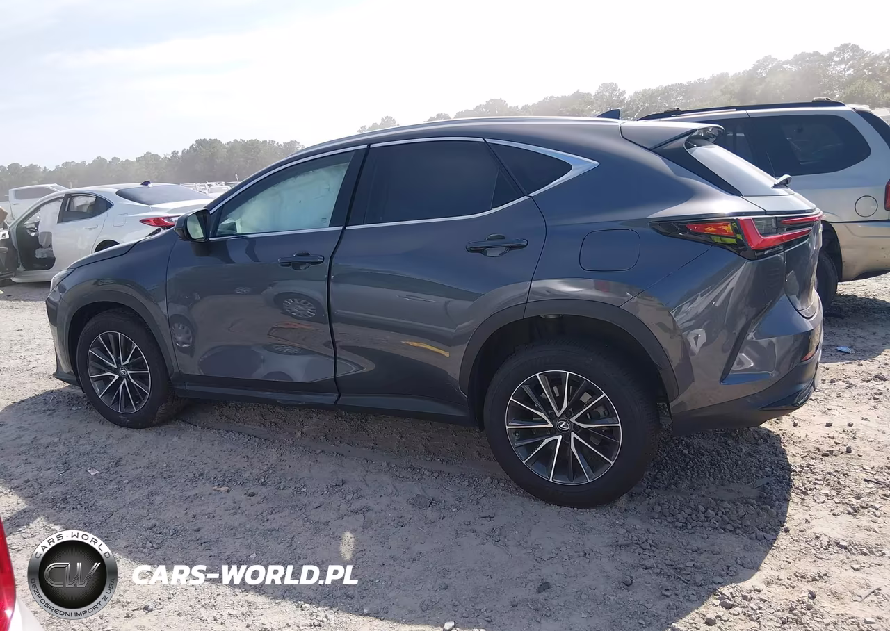 2025 Lexus Nx 350H Premium VIN:2T2GKCEZXSC034114 - 13