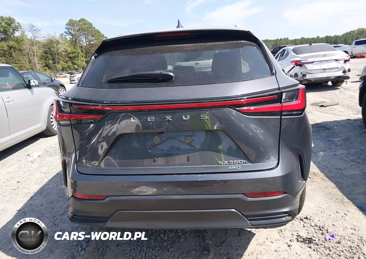 2025 Lexus Nx 350H Premium VIN:2T2GKCEZXSC034114 - 15