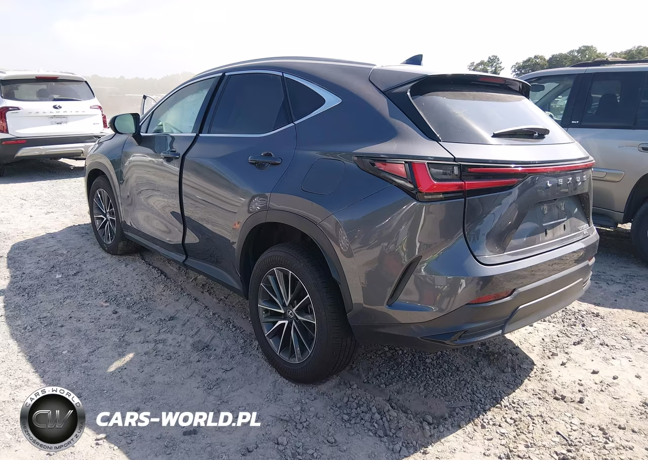 2025 Lexus Nx 350H Premium VIN:2T2GKCEZXSC034114 - 3