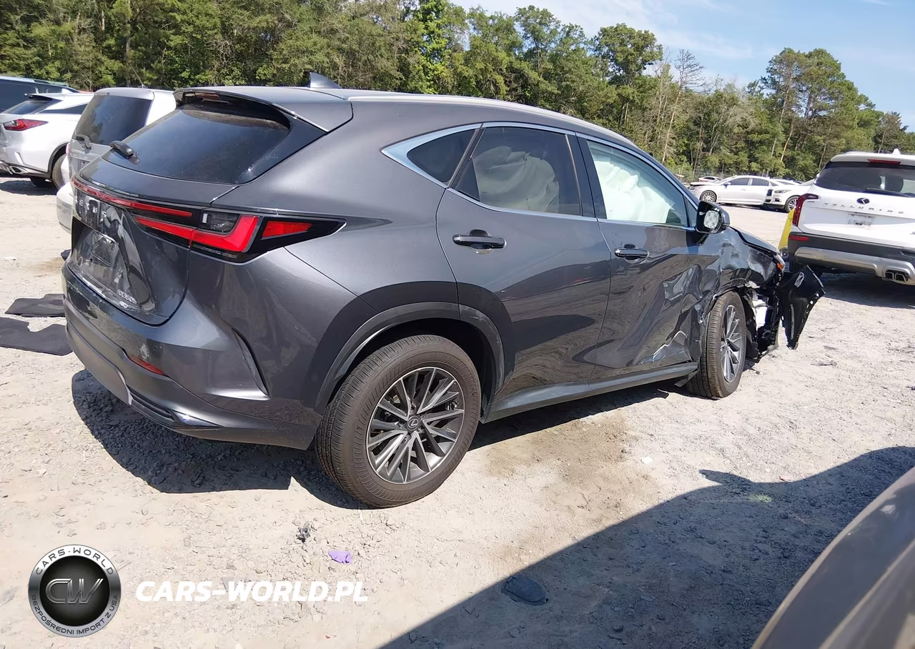 2025 Lexus Nx 350H Premium VIN:2T2GKCEZXSC034114 - 4