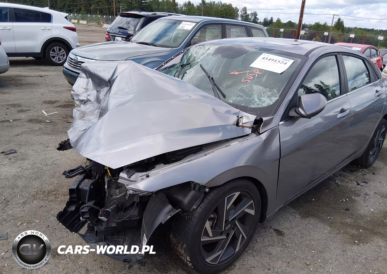 2025 Hyundai Elantra Sel Convenience VIN:KMHLS4DG1SU987205 - 20