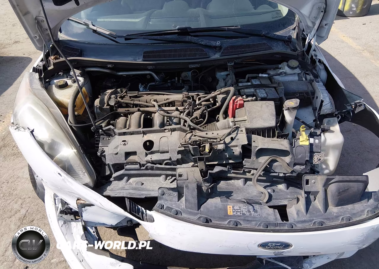 2017 Ford Fiesta Se VIN:3FADP4BJ3HM101218 - 10