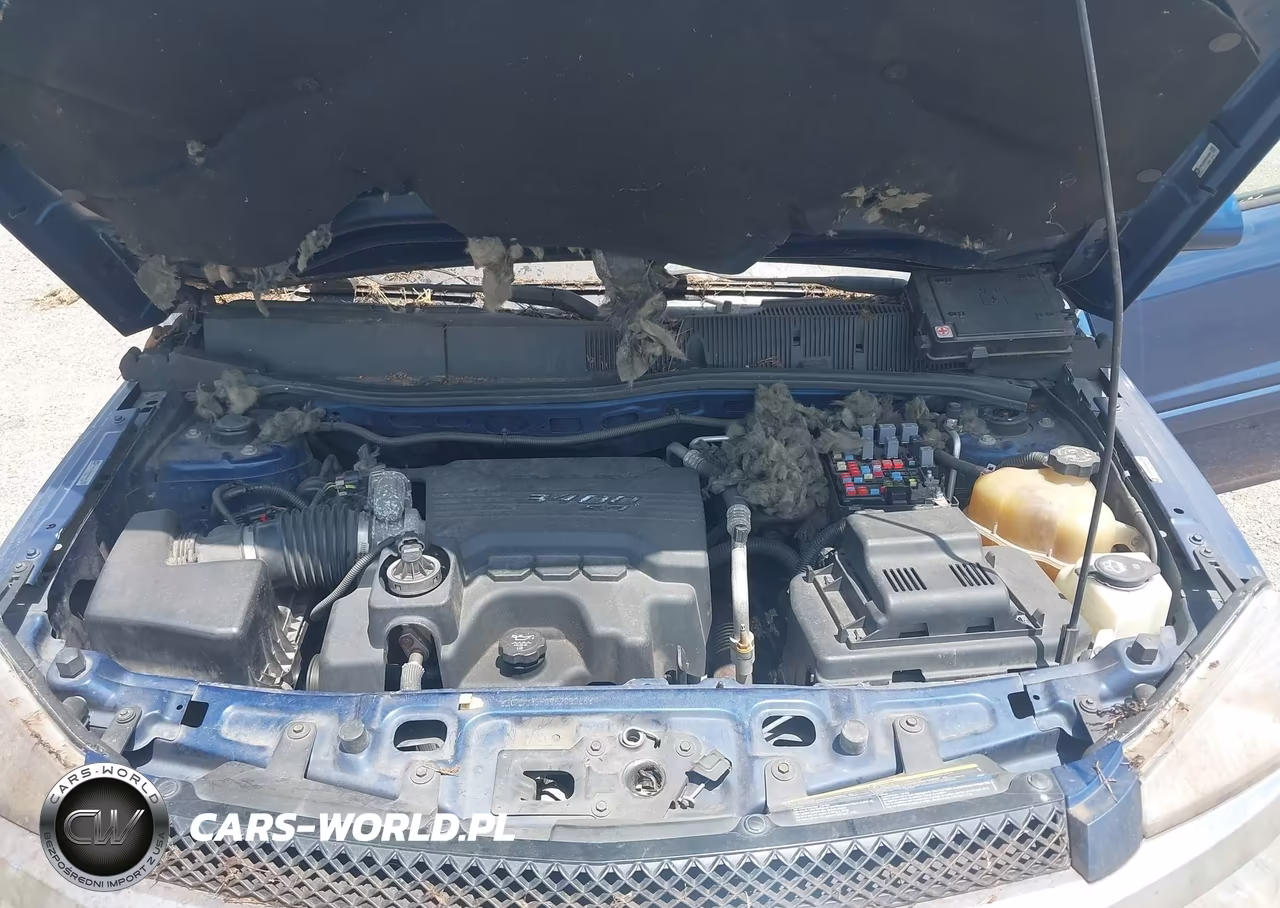 2009 Chevrolet Equinox Lt VIN:2CNDL33F096209006 - 10
