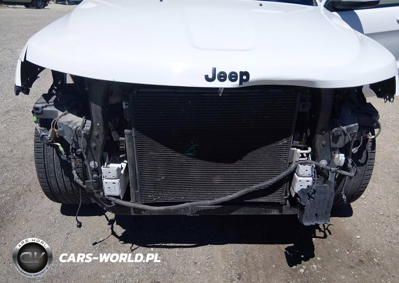 2019 Jeep Grand Cherokee Altitude 4X2 VIN:1C4RJEAG3KC680927 - 6