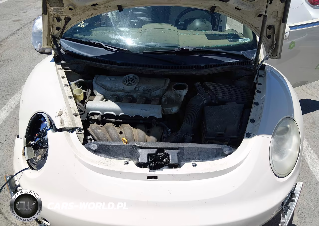 2006 Volkswagen New Beetle 2.5-2.5 (A6) VIN:3VWSF31Y96M310146 - 10