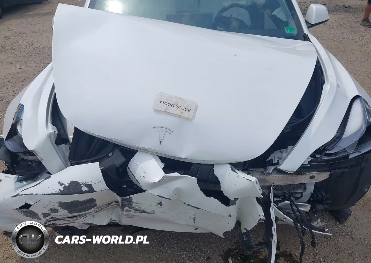 2021 Tesla Model 3 Long Range Dual Motor All-Wheel Drive VIN:5YJ3E1EBXMF926637 - 10