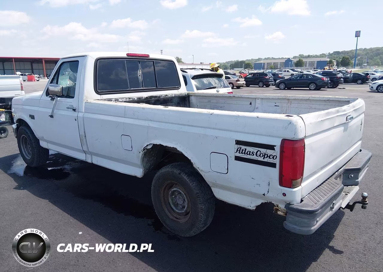 1995 Ford F150 VIN:1FTEF15N4SNA28887 - 3