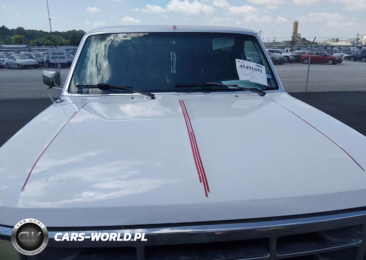 1995 Ford F150 VIN:1FTEF15N4SNA28887 - 6