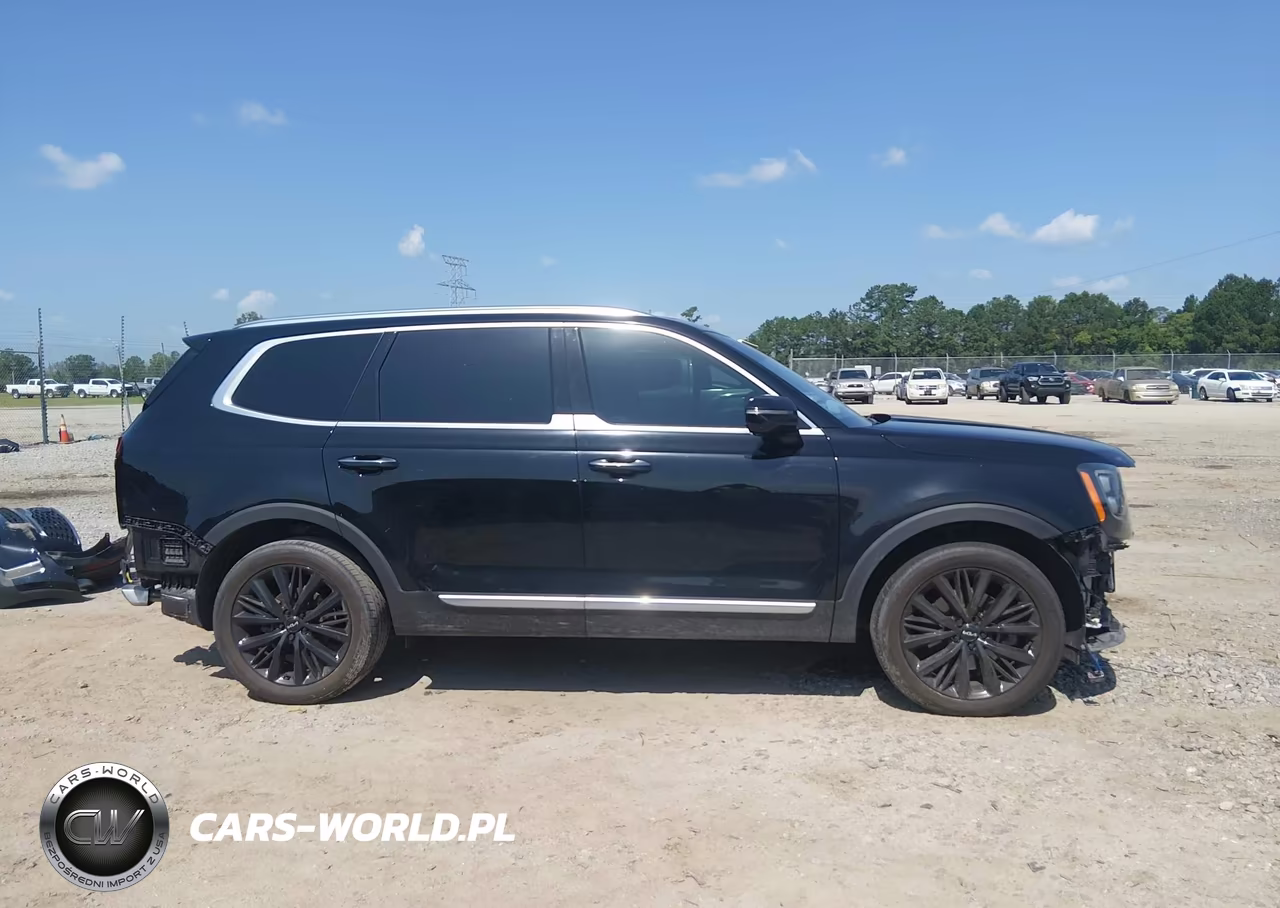 2022 Kia Telluride Sx VIN:5XYP54HC2NG252890 - 14