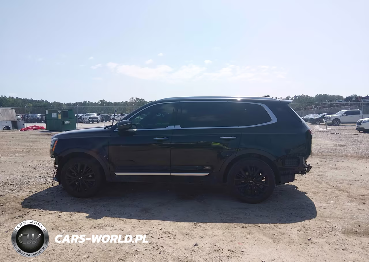 2022 Kia Telluride Sx VIN:5XYP54HC2NG252890 - 15
