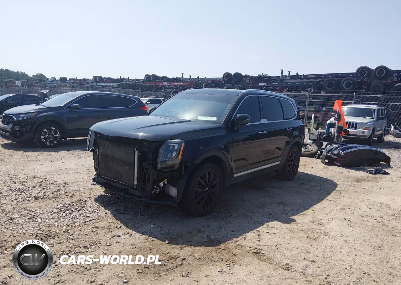 2022 Kia Telluride Sx VIN:5XYP54HC2NG252890 - 2