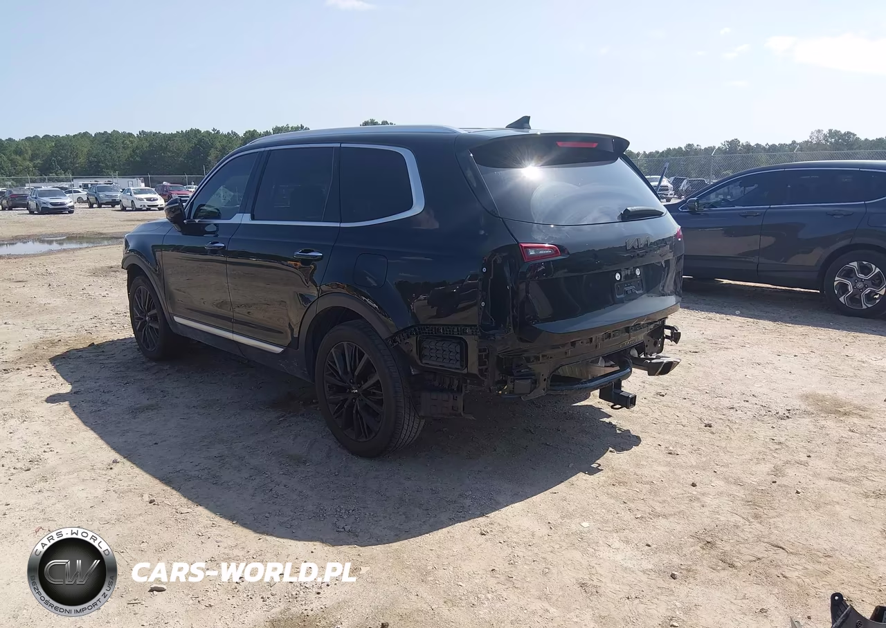 2022 Kia Telluride Sx VIN:5XYP54HC2NG252890 - 3