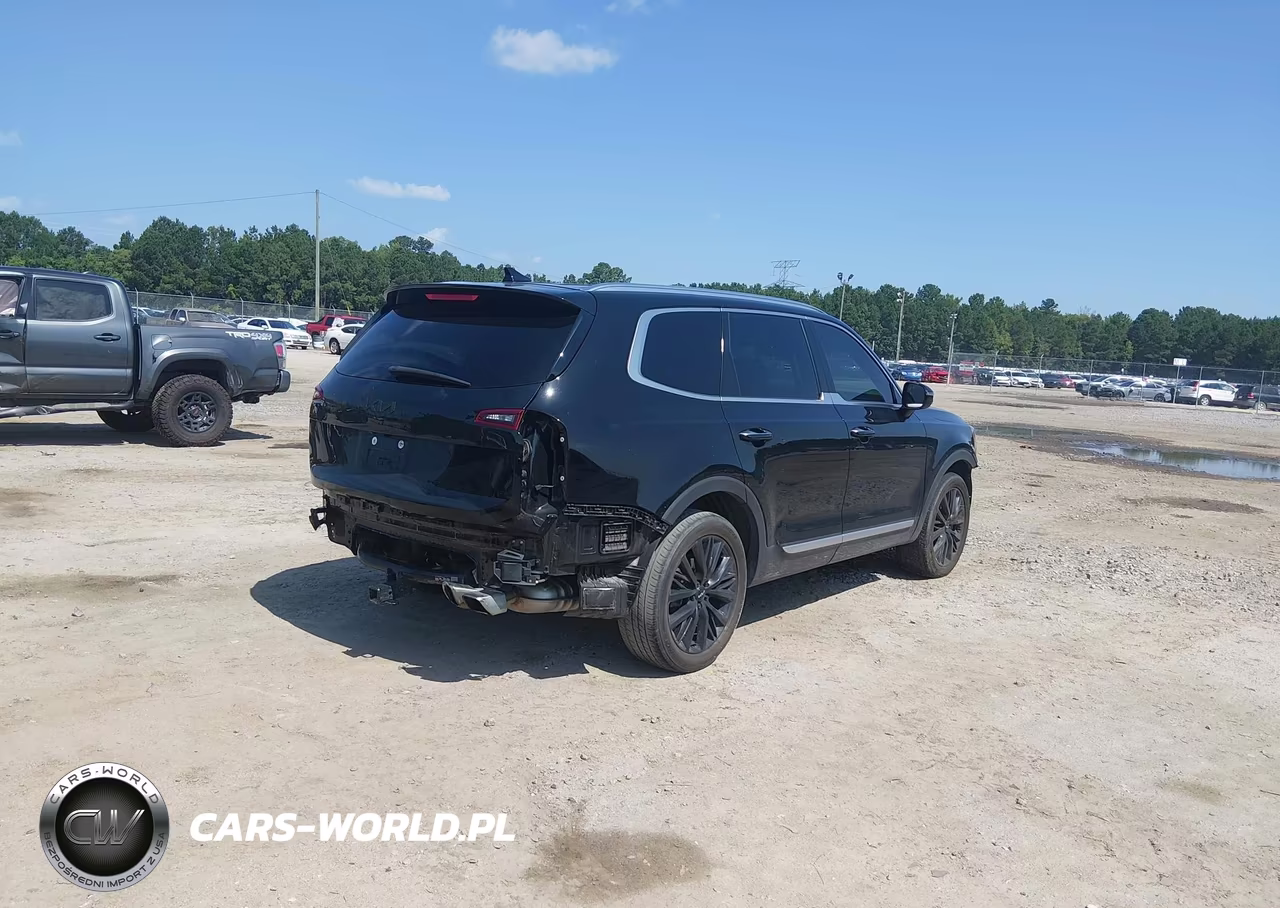 2022 Kia Telluride Sx VIN:5XYP54HC2NG252890 - 4