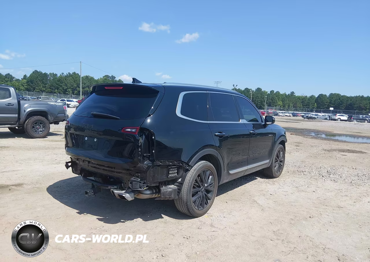 2022 Kia Telluride Sx VIN:5XYP54HC2NG252890 - 6