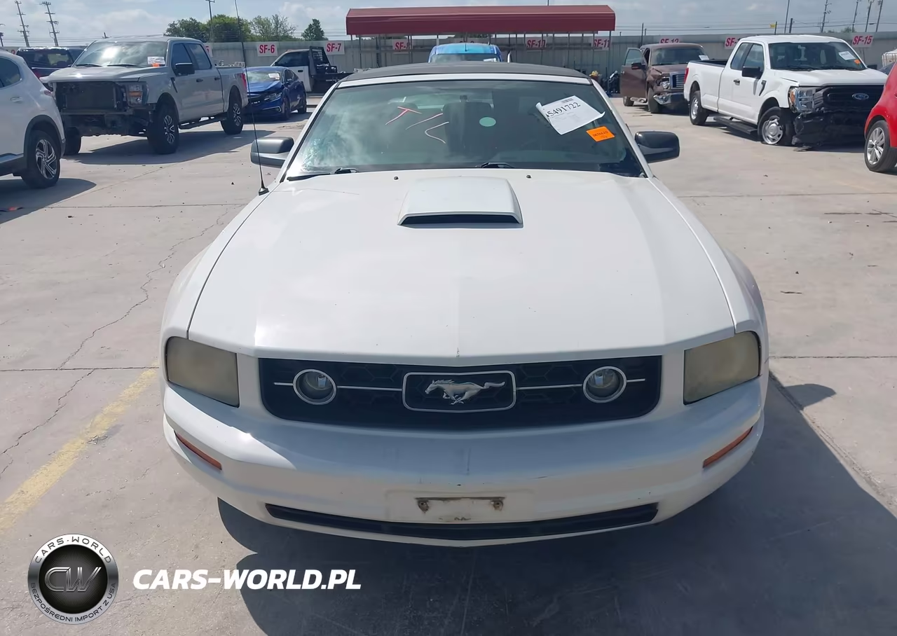 2007 Ford Mustang V6 Deluxe-V6 Premium VIN:1ZVFT84N075239435 - 12