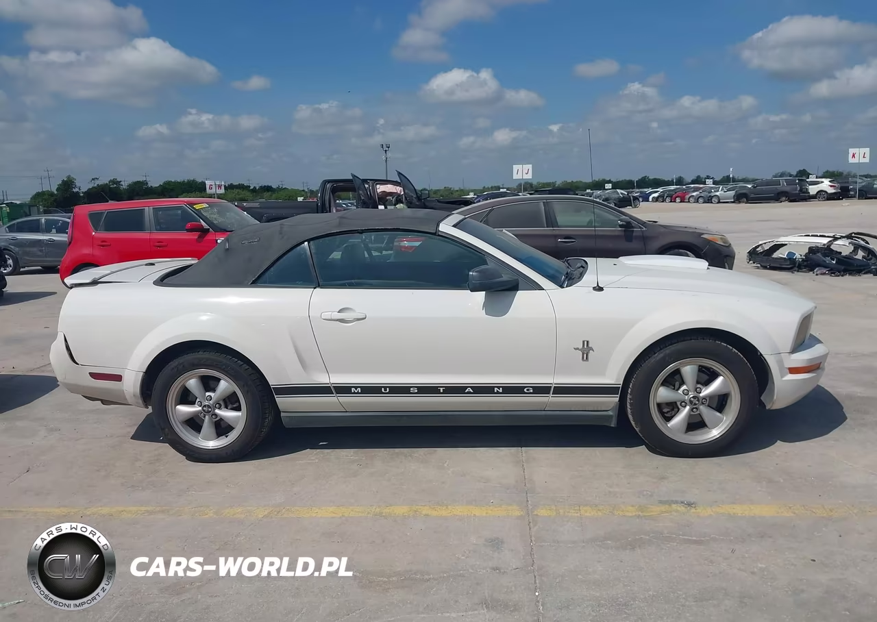 2007 Ford Mustang V6 Deluxe-V6 Premium VIN:1ZVFT84N075239435 - 13