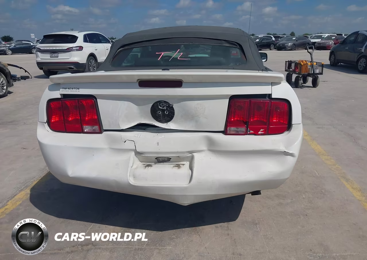 2007 Ford Mustang V6 Deluxe-V6 Premium VIN:1ZVFT84N075239435 - 16
