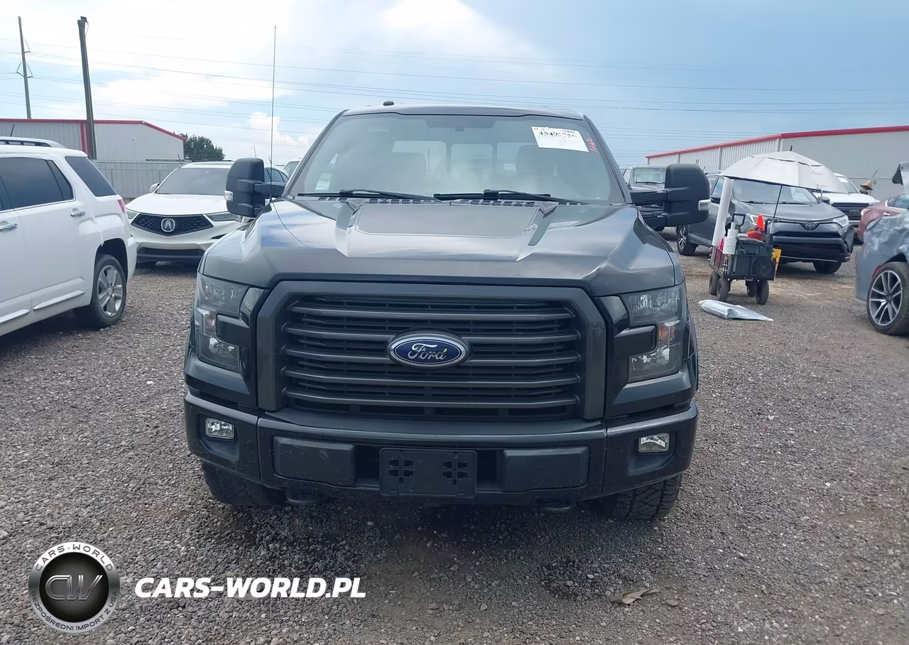 2016 Ford F-150 Xlt VIN:1FTEW1EP7GFC41206 - 12