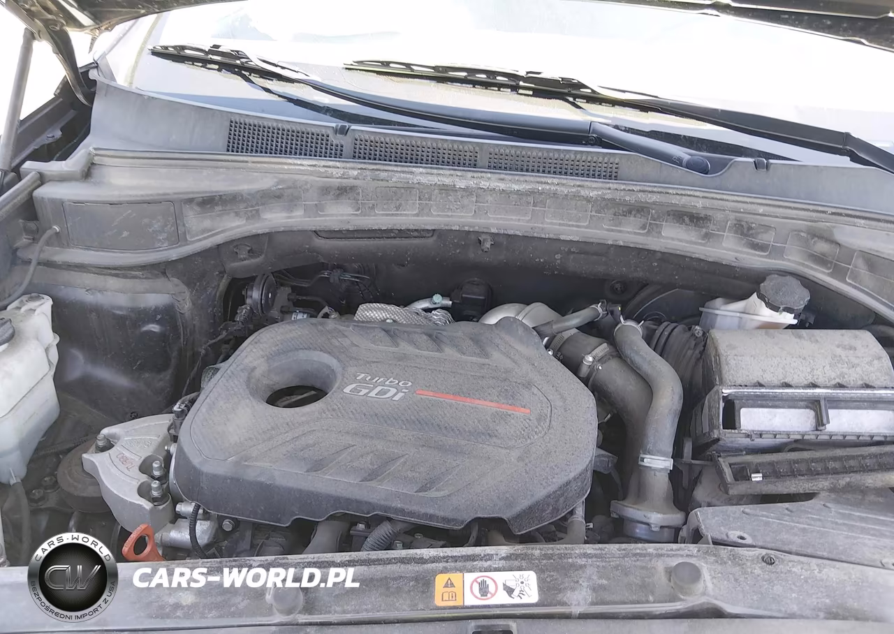 2018 Hyundai Santa Fe Sport 2.0T VIN:5NMZUDLA0JH072521 - 10