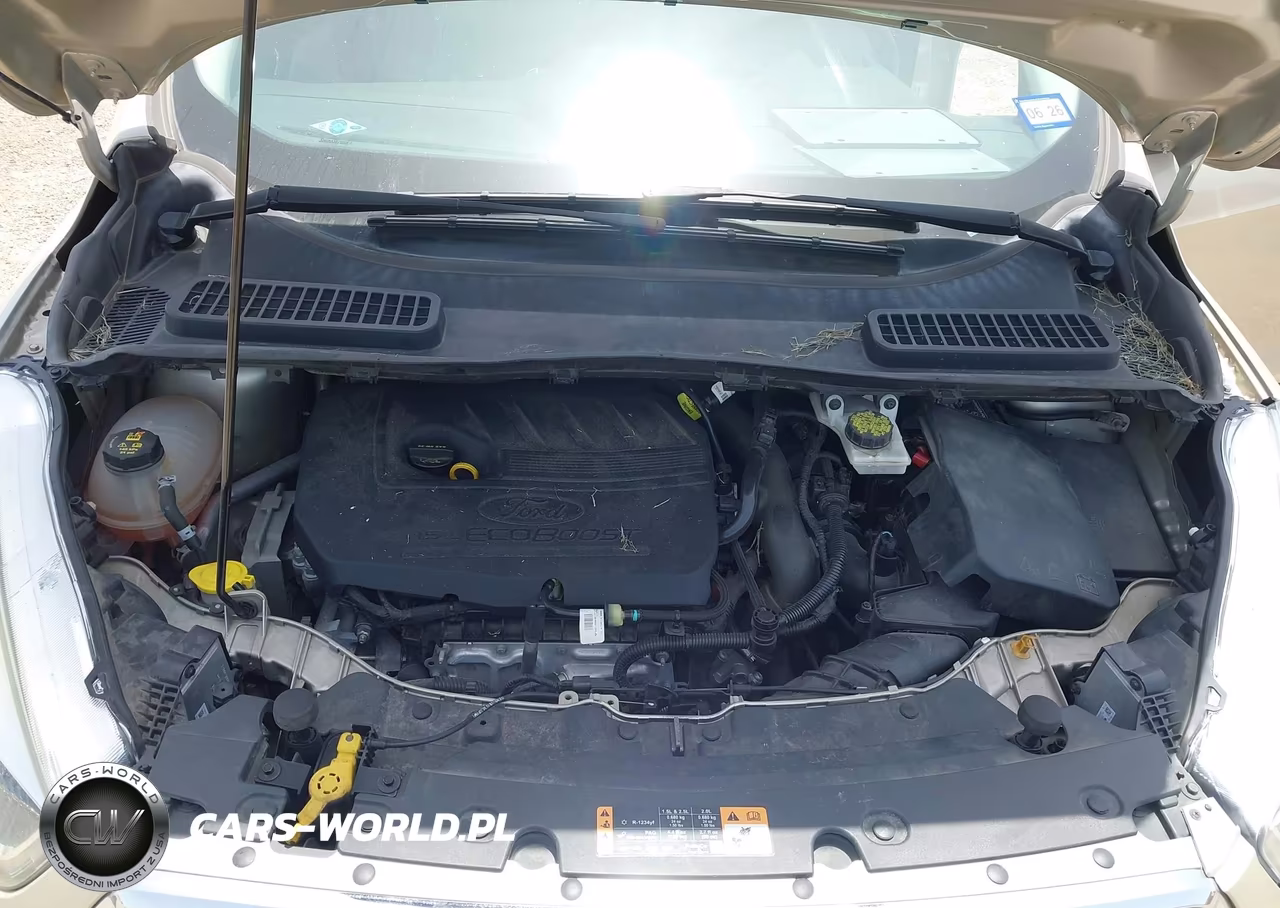 2017 Ford Escape Se VIN:1FMCU0GD3HUD10735 - 10