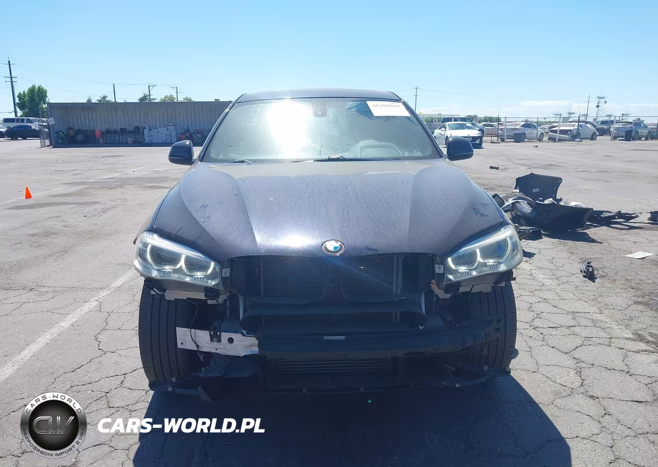2016 BMW X6 xDrive35I VIN:5UXKU2C50G0N83629 - 13