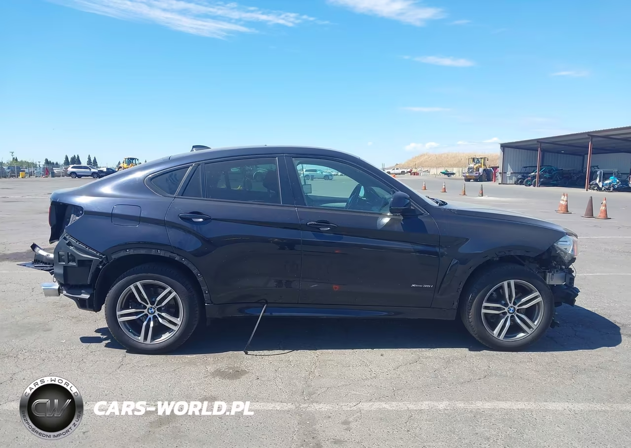 2016 BMW X6 xDrive35I VIN:5UXKU2C50G0N83629 - 14