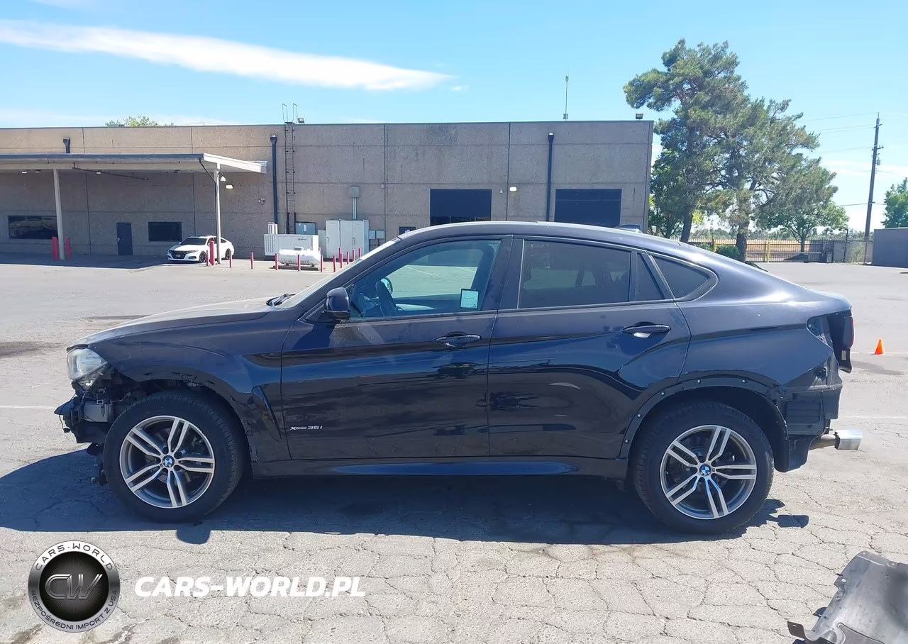 2016 BMW X6 xDrive35I VIN:5UXKU2C50G0N83629 - 15