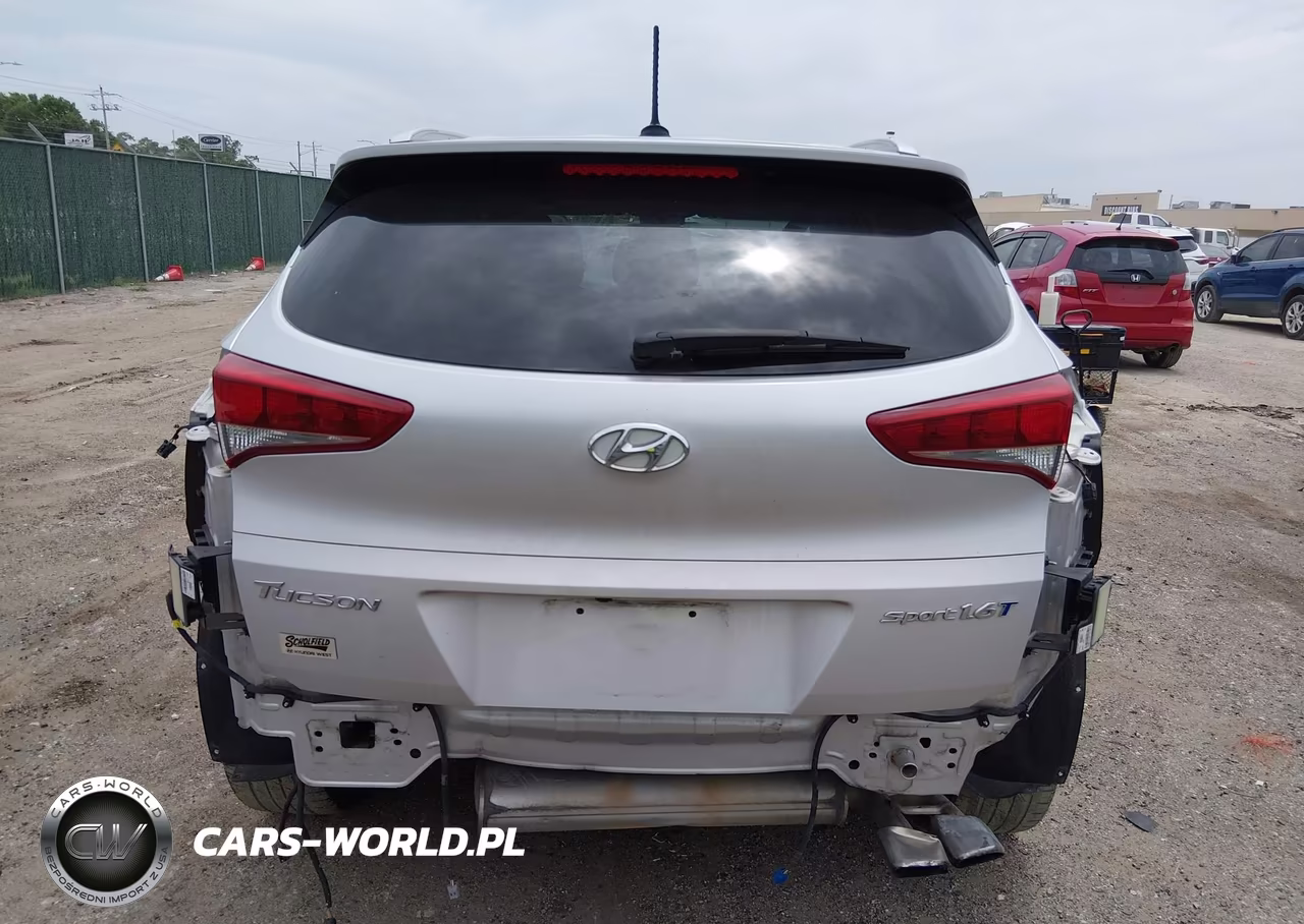 2016 Hyundai Tucson Sport VIN:KM8J33A21GU034976 - 17