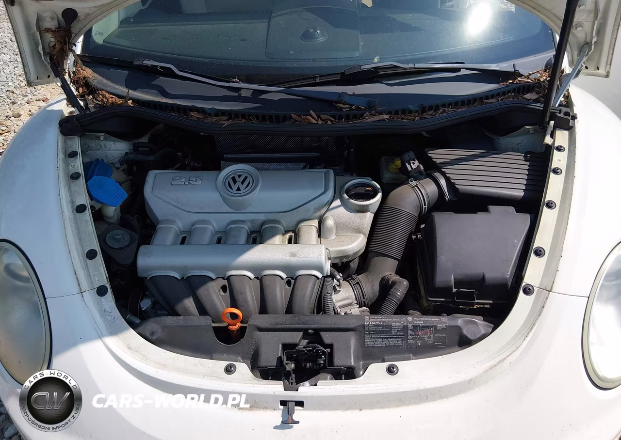 2007 Volkswagen New Beetle Triple White VIN:3VWFF31Y67M411339 - 10